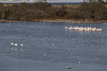Naturaleza en el Guadalhorce, Malaga