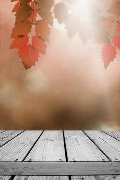 Wooden empty and blurred leaves garden autumn background.