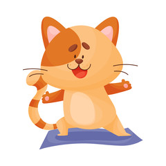 Cartoon cat yogi crouched on one leg. Vector illustration.