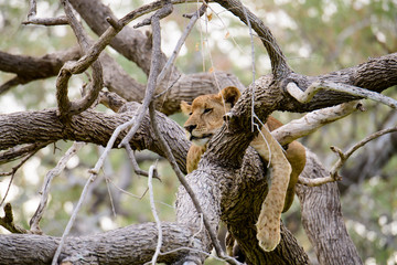 Chilled out