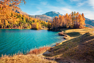 Sunny autumn scene of Sils Lake / Silsersee. Splendid morning view of Swiss Alps, Maloja Region,...