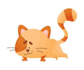 Cartoon happy cat yogi push ups. Vector illustration.