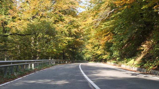 Car driving on a forest road in autumn, view from the front window of the car