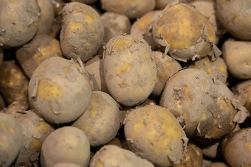 Close-up of potatoes tubers on market counter