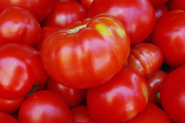 Large ripe tomatoes closeup view