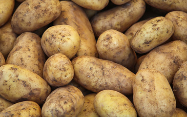 Jede Menge Kartoffeln die auf einem Markt angeboten werden 