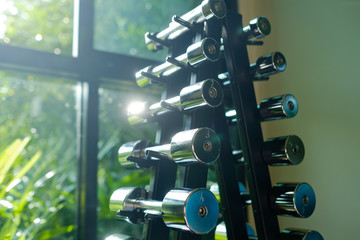 Fototapeta premium dumbbells, fitness equipment and accessories, sport, healthy