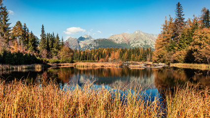 Splendid autumn view of Strbske pleso lake. Calm morning scene of High Tatra National Park, Slovakia, Europe. Beauty of nature concept background.