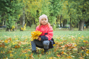 Autumn little girl Portrait In Fall Yellow Leaves