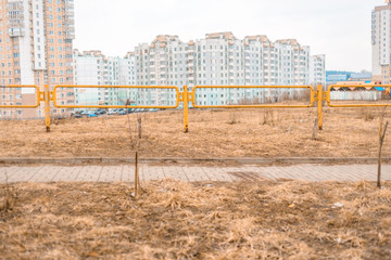 Drought, lawn with burnt yellow grass in the city