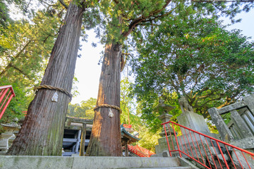 八幡朝見神社　大分県別府市　Hachiman Asami Shrine　Ooitaken Beppu