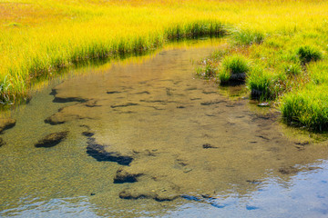 source from a small stream in the mountains