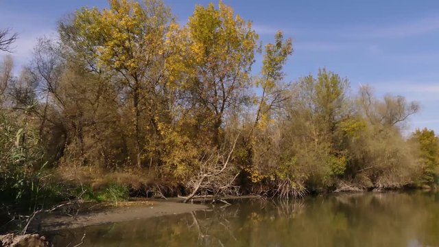 Autumn on the river. Travel by motor boat along the canals of the Dniester Delta (Ukraine). 