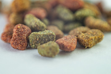 close-up dry tasty  pet food