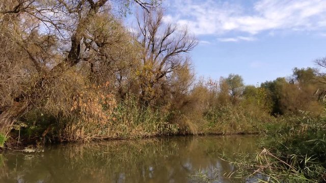 Autumn on the river. Travel by motor boat along the canals of the Dniester Delta (Ukraine). 