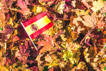 Spanish flag lying on the maple leaves in the autumn forest at the morning at dawn.  Concept. Top...