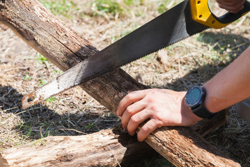 Man saws a tree with a hand saw