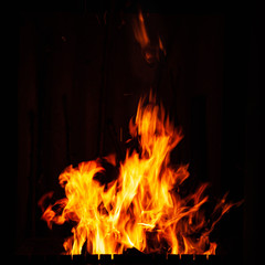 Obraz premium Fire flame on a black background. Burning fire at night. Bonfire in the barbecue, fireplace and hearth.