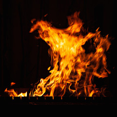 Fire flame on a dark background. Burning fire at night. Bonfire in the barbecue, fireplace and hearth.