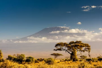 Küchenrückwand glas motiv Kilimandscharo Blick auf den Kilimanjaro am Nachmittag