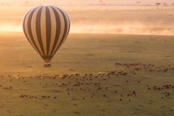 hot air ballon ride in Masai Mara - obrazy, fototapety, plakaty