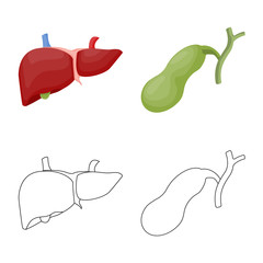 Vector illustration of body and human symbol. Collection of body and medical stock vector illustration.