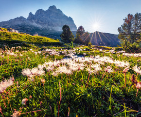 Sunny morning view of western slope of Tre Cime di Lavaredo mpountain peaks. Bright summer scene of Dolomiti Alps, South Tyrol, Italy, Europe. Beauty of nature concept background.