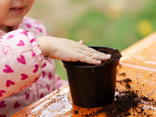 View of toddler child planting young beet seedling in to a fertile soil.