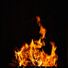 Fire flame. Beautiful bright burning fire at night. Strong bonfire in the barbecue, fireplace and hearth.