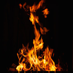 Fototapeta na wymiar Fire flames. High burning fire at night. Strong bonfire in the barbecue, fireplace and hearth.