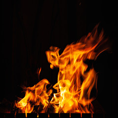 Fototapeta premium Fire flames. High burning fire at night. Strong fire in a grill, a fireplace and hearth.