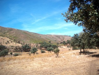 paisaje3848