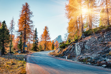 Fantastic sunny view of Dolomite Alps with yellow larch trees. Colorful autumn sunrise in mountains. Giau pass location, Italy, Europe. Beauty of nature concept background.