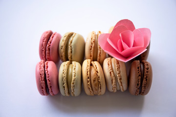 Colorful Macaroons with handmade paper flower