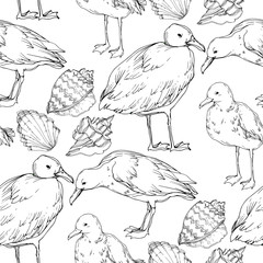 Vector Sky bird seagull in a wildlife isolated. Black and white engraved ink art. Seamless background pattern.