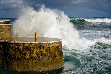 Fototapete bei efototapeten.de bestellen   