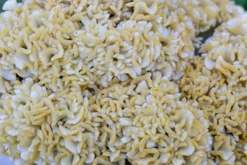 background of flower