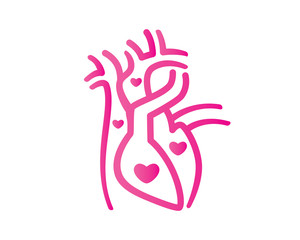 Healthy Human Heart and Blood Flow with Love Symbol