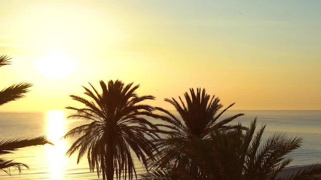 Beautiful amazing peaceful early morning at tropical beach. Golden sunrise sky, sea water with sunlight reflected in water and silhouettes of green palms growing at tropical beach. Real time 4k video.
