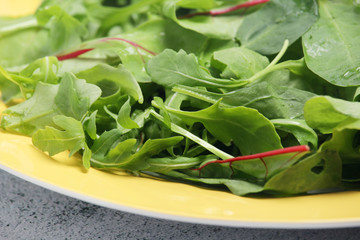 A plate with green salad