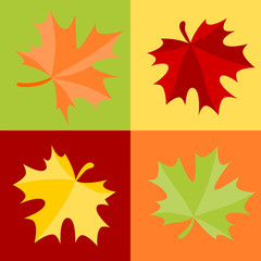 Autumn leaves collection in square frame