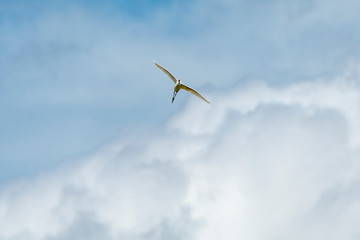 湧き上がる雲を越えて