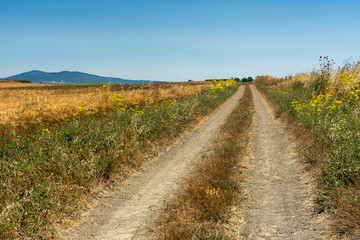 Obraz premium Country road from Capalbio to Tarquinia