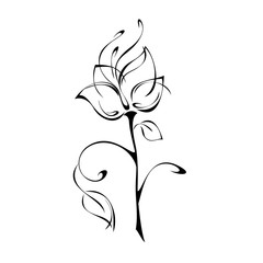 decorative flower with large petals on a stalk with leaves and curls in black lines on a white background