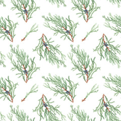 Fototapeta na wymiar Watercolor hand drawn seamless pattern with winter plant juniper with berry on branch isolated on white background, good for new year and Christmas card, invitation, wrapping paper, fabric wallpaper