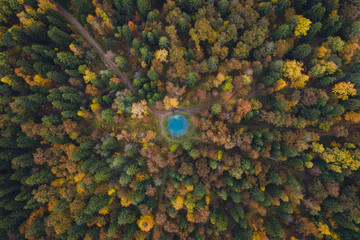 Aerial top view yellow fall forest with blue lake