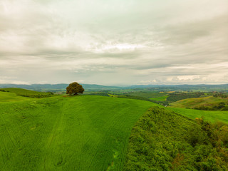 Tuscany countryside hills, stunning aerial view in spring.