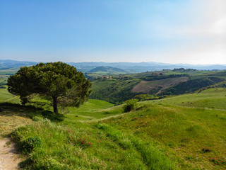 Fototapeta premium Tuscany countryside hills, stunning aerial view in spring.