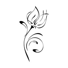 one stylized flower Bud on a stem with swirls in black lines on a white background