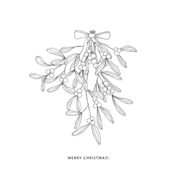 Winter bouquet with mistletoe plants.